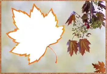 범주에서의 사진 효과 가을 № 80359 범주에서의 사진 효과 가을 № 80359