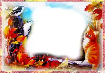 범주에서의 사진 효과 가을 № 86557 범주에서의 사진 효과 가을 № 86557