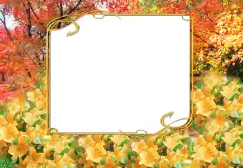 범주에서의 사진 효과 가을 № 9797 범주에서의 사진 효과 가을 № 9797