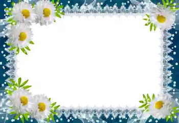 범주에서의 사진 효과 봄 № 149188