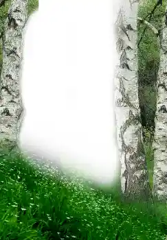 범주에서의 사진 효과 봄 № 149305