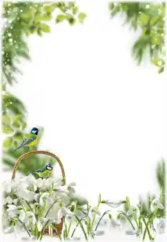 범주에서의 사진 효과 봄 № 205355 범주에서의 사진 효과 봄 № 205355