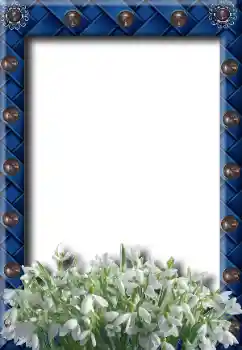 범주에서의 사진 효과 봄 № 8734 범주에서의 사진 효과 봄 № 8734