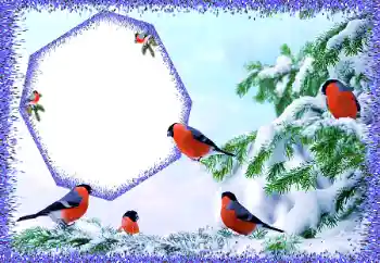 범주에서의 사진 효과 겨울 № 105588 범주에서의 사진 효과 겨울 № 105588