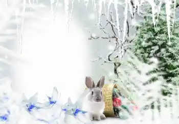 범주에서의 사진 효과 겨울 № 128650 범주에서의 사진 효과 겨울 № 128650