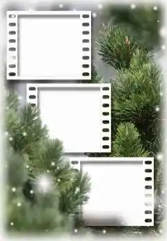 범주에서의 사진 효과 겨울 № 129913