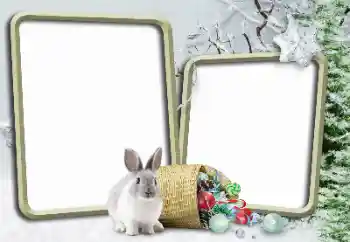 범주에서의 사진 효과 겨울 № 148975