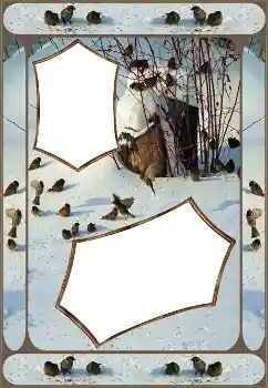 범주에서의 사진 효과 겨울 № 151645 범주에서의 사진 효과 겨울 № 151645