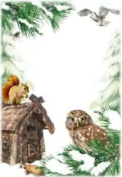 범주에서의 사진 효과 겨울 № 160784