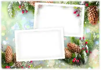 범주에서의 사진 효과 겨울 № 161955