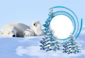 범주에서의 사진 효과 겨울 № 163218