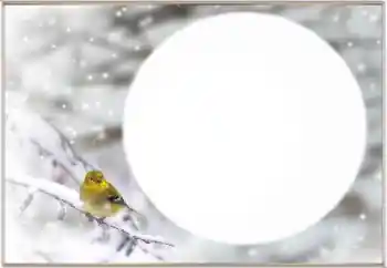 범주에서의 사진 효과 겨울 № 163334