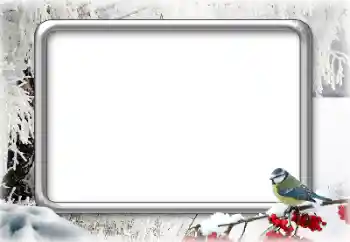 범주에서의 사진 효과 겨울 № 166544