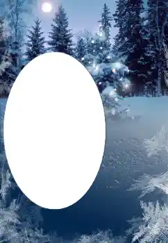 범주에서의 사진 효과 겨울 № 176669