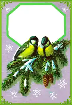 범주에서의 사진 효과 겨울 № 177851