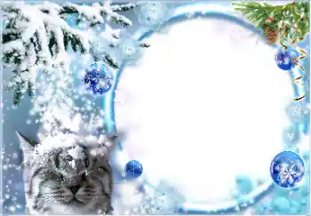 범주에서의 사진 효과 겨울 № 178026