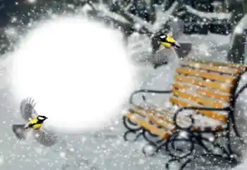 범주에서의 사진 효과 겨울 № 191760