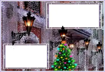 범주에서의 사진 효과 겨울 № 193017