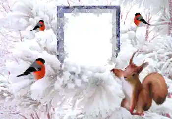 범주에서의 사진 효과 겨울 № 194148