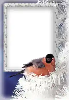 범주에서의 사진 효과 겨울 № 3339 범주에서의 사진 효과 겨울 № 3339