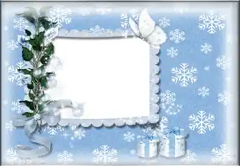 범주에서의 사진 효과 겨울 № 3346