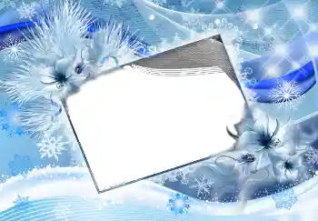 범주에서의 사진 효과 겨울 № 3351