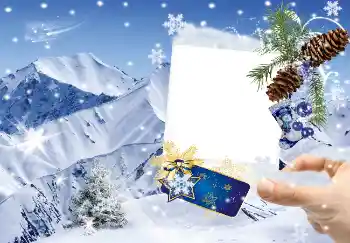 범주에서의 사진 효과 겨울 № 3353