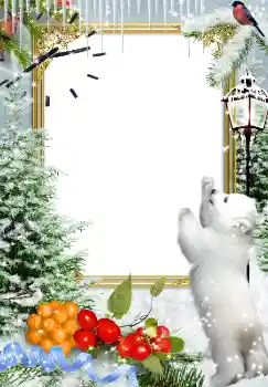 범주에서의 사진 효과 겨울 № 3357