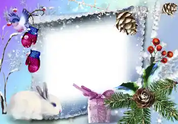 범주에서의 사진 효과 겨울 № 3359