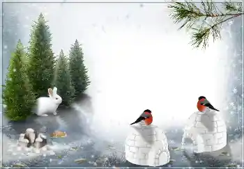 범주에서의 사진 효과 겨울 № 3360