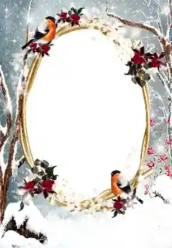 범주에서의 사진 효과 겨울 № 3374