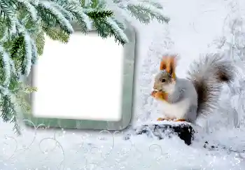 범주에서의 사진 효과 겨울 № 3375