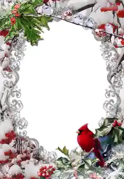 범주에서의 사진 효과 겨울 № 3380