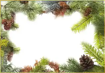 범주에서의 사진 효과 겨울 № 3395