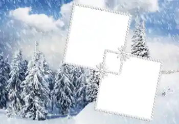 범주에서의 사진 효과 겨울 № 33991