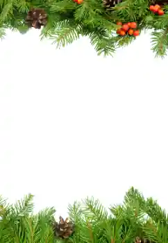 범주에서의 사진 효과 겨울 № 34000