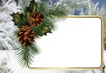 범주에서의 사진 효과 겨울 № 34794