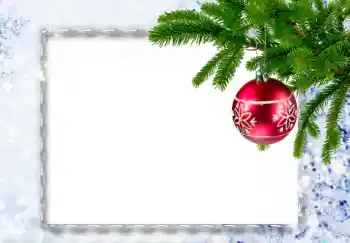 범주에서의 사진 효과 겨울 № 3549