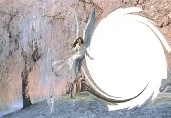 범주에서의 사진 효과 겨울 № 36261