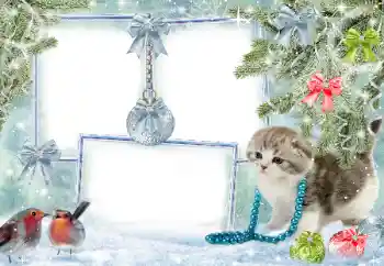 범주에서의 사진 효과 겨울 № 38960