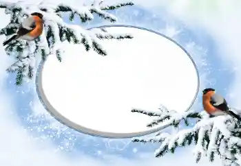 범주에서의 사진 효과 겨울 № 42676