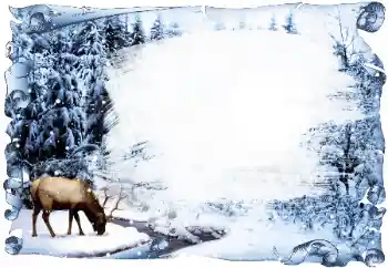 범주에서의 사진 효과 겨울 № 42685