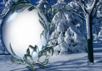 범주에서의 사진 효과 겨울 № 5464