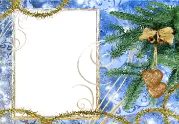 범주에서의 사진 효과 겨울 № 5528