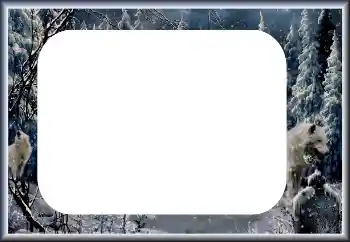 범주에서의 사진 효과 겨울 № 60435