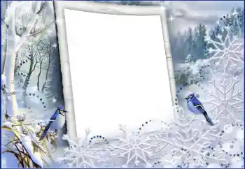 범주에서의 사진 효과 겨울 № 60441