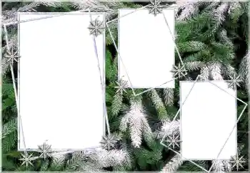 범주에서의 사진 효과 겨울 № 64393