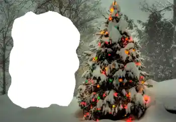 범주에서의 사진 효과 겨울 № 65514