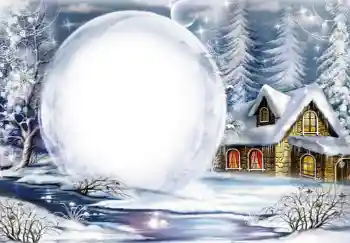 범주에서의 사진 효과 겨울 № 65537