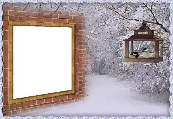 범주에서의 사진 효과 겨울 № 65557